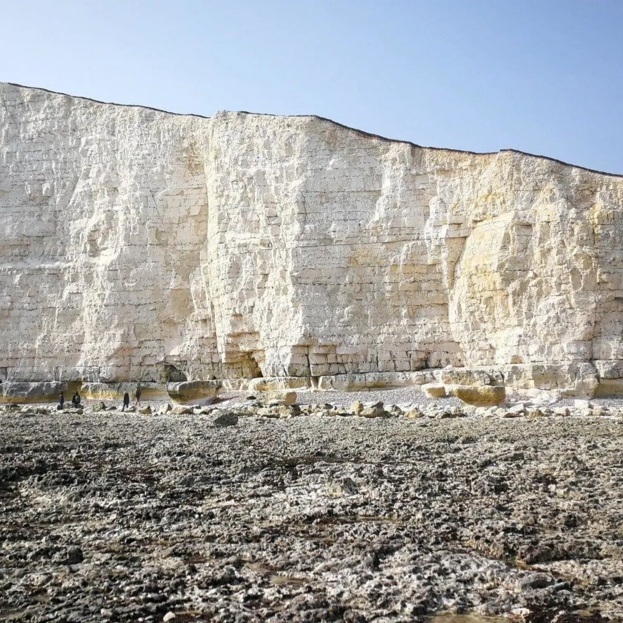 Full-Day-Small-Group-White-Cliffs-of-Sussex-Tour-from-London-image-1-1